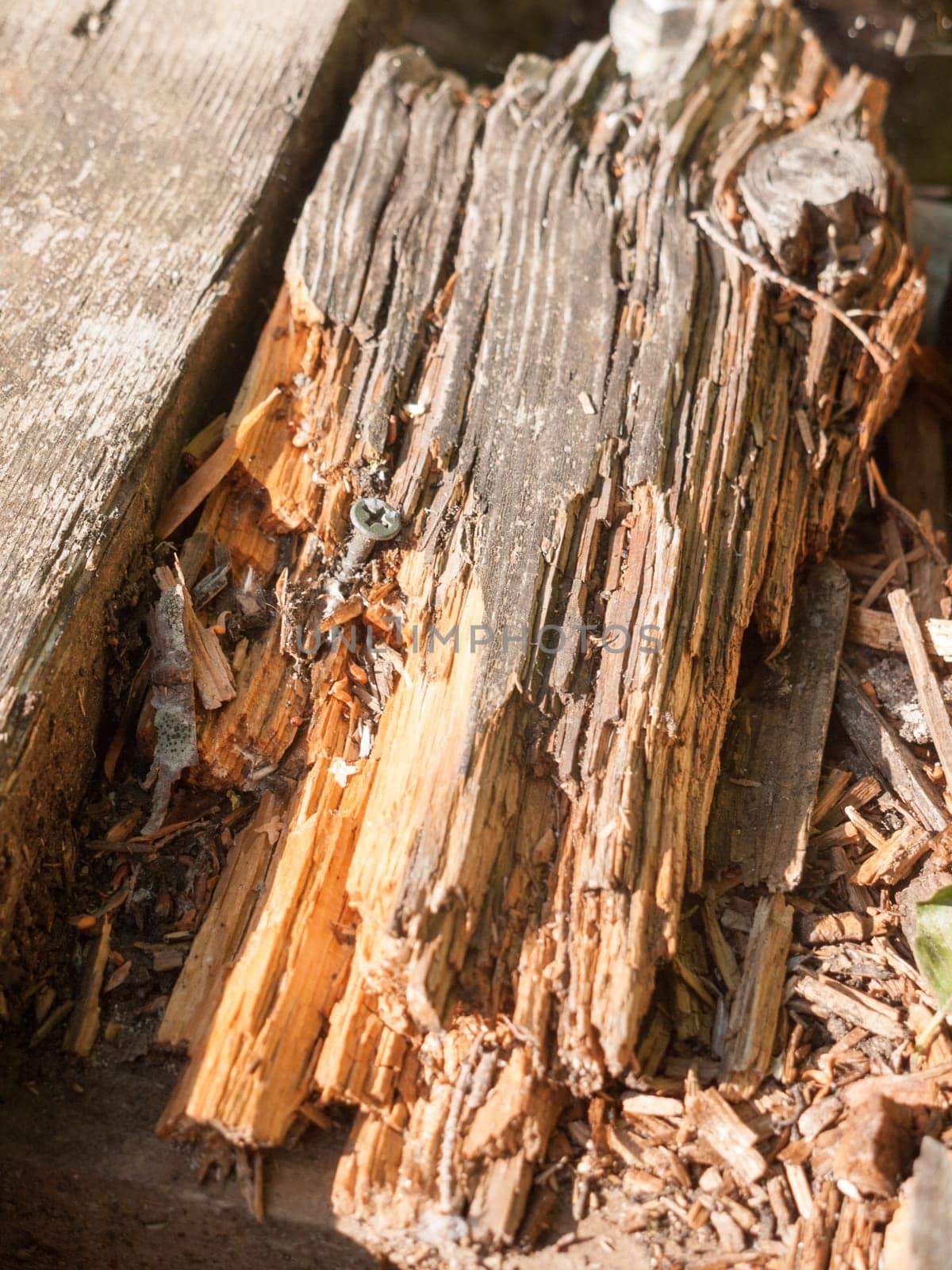 broken bit of wooden pontoon close up texture uk