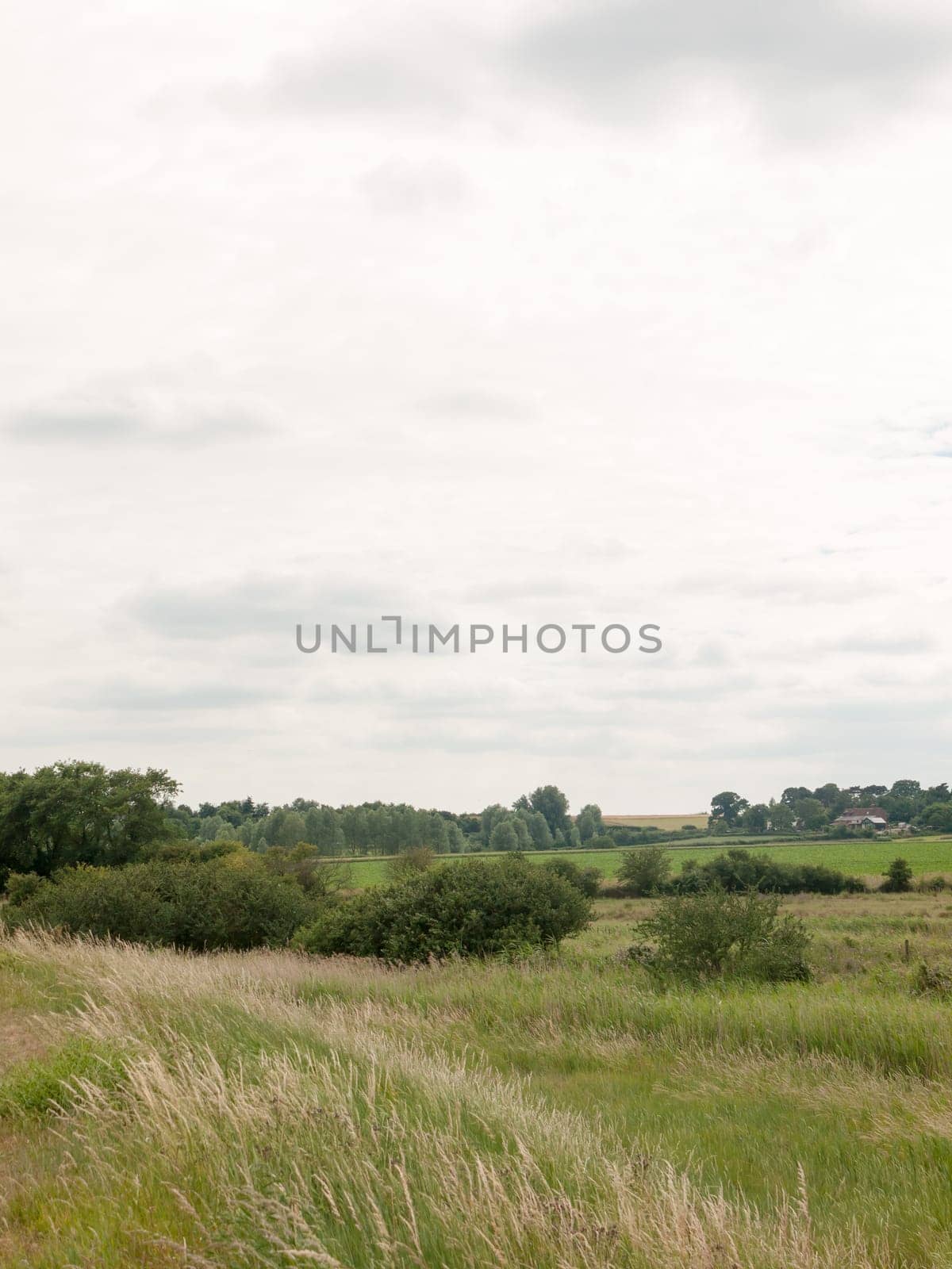 countryside scene no people empty animals farm harwich felixstowe essex england uk
