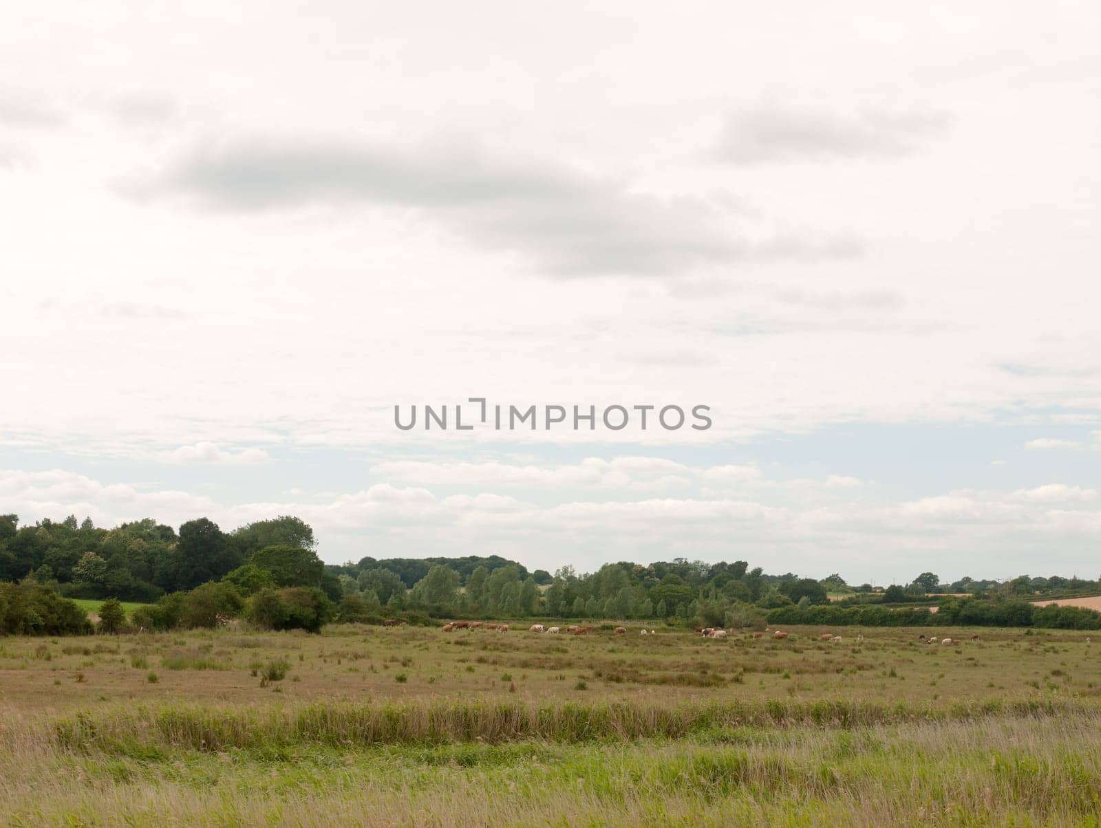 inland country scene in harwich felixstowe essex uk england no people farm