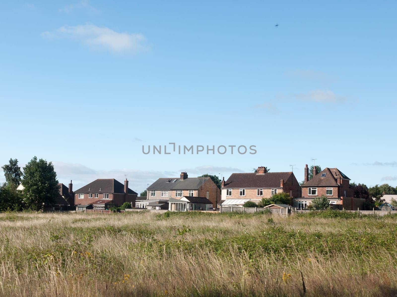 back of houses in a field in summer light wivenhoe essex england uk