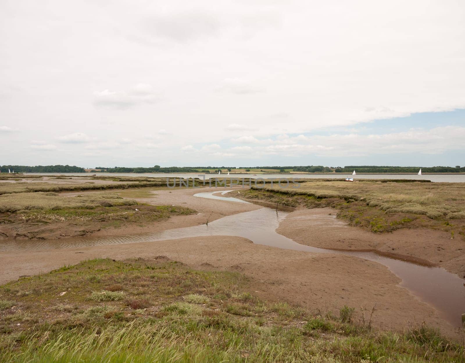 mud flats stream at sea side coast edge no people seagulls