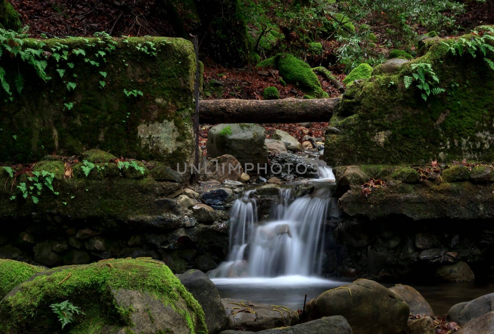 This is an image of an old broken damn that was destroyed back in the late 1800's. Water still flows where the damn gate used to be.