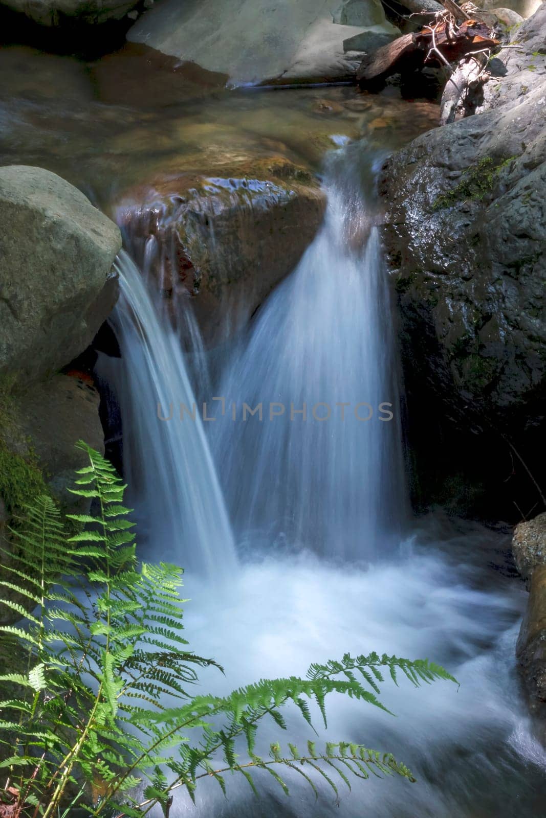 An image of moss growing on a rock next to a local waterfall in the Santa Cruz mountains in California.