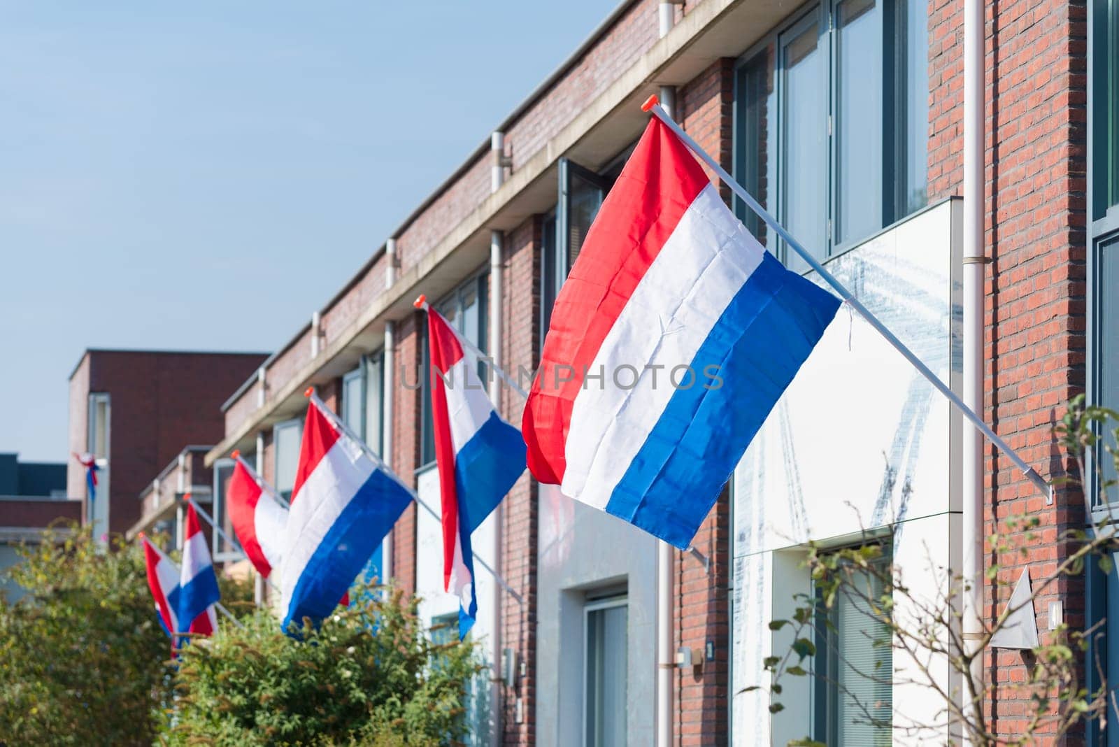 residential neighborhood with dutch flags hanging outside during a national holiday