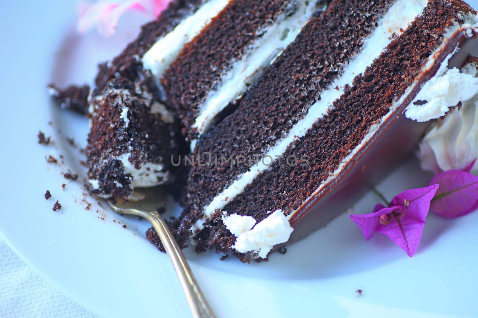 Chocolate cake dessert with four layers filled with vanilla cream on a white plate