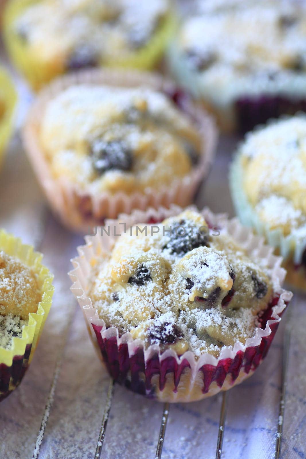 Closeup of blueberry muffins in paper cups with powdered sugar