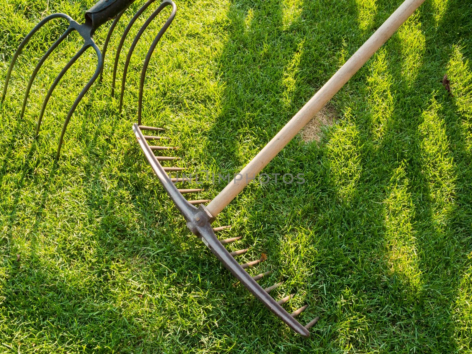 Format-filling view of a piece of lawn with rake and pitchfork and shadow casting.