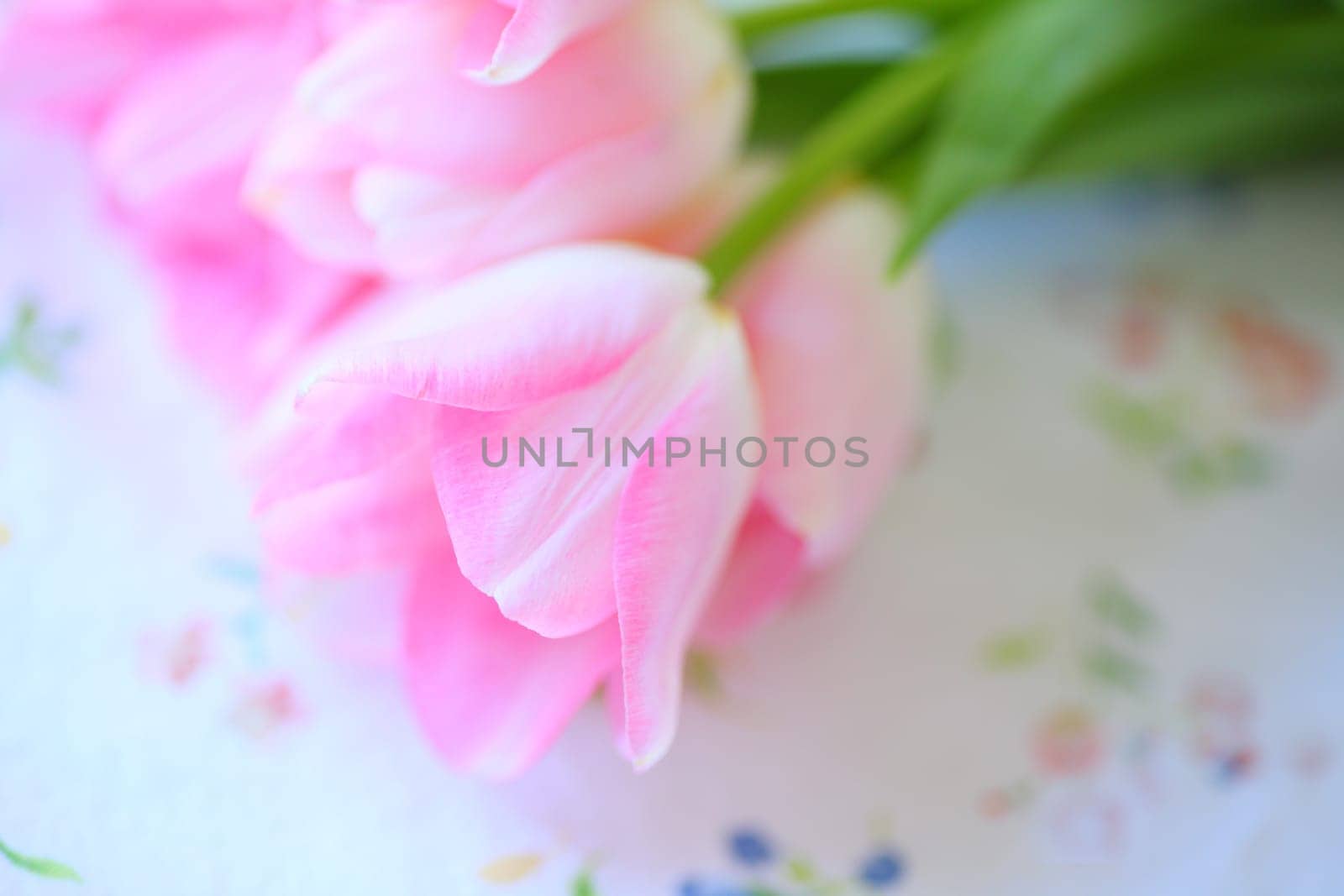Pale pink tulips on a floral fabric print