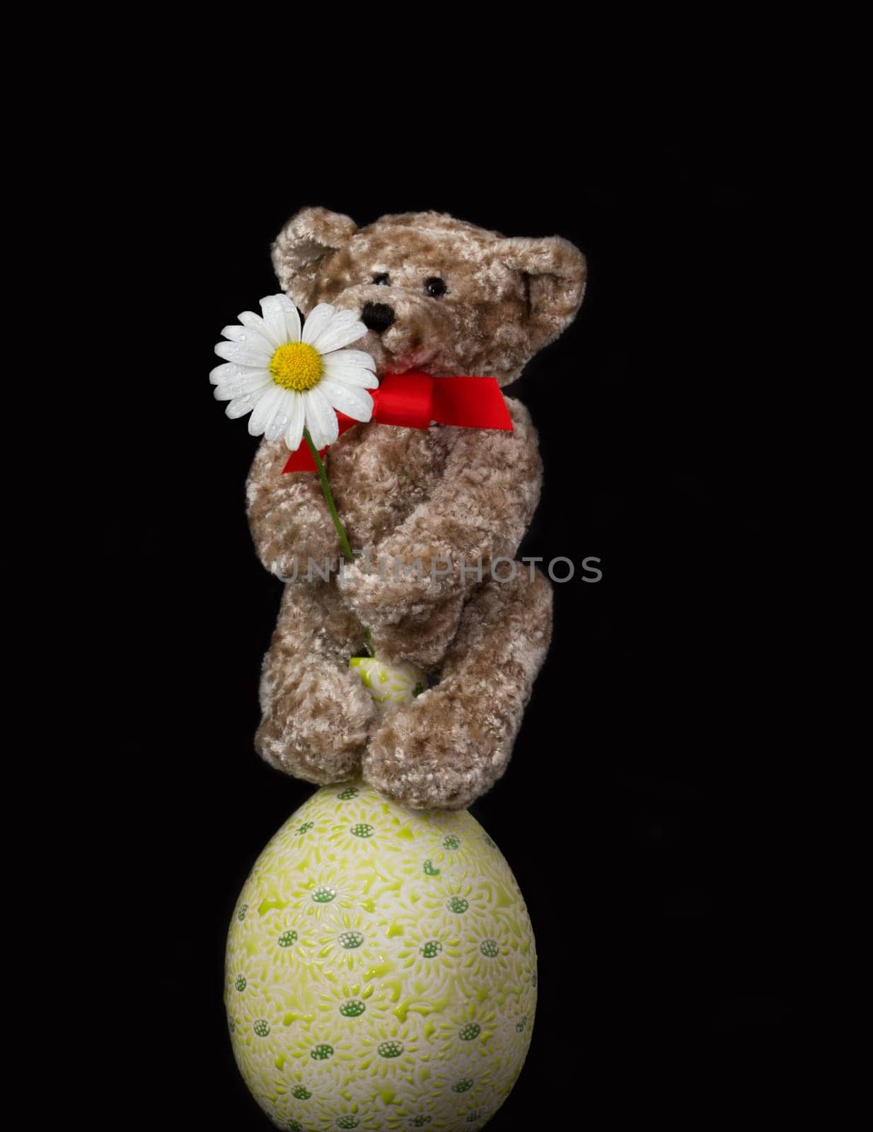 Teddy climbs on the vase to hug the marguerite.