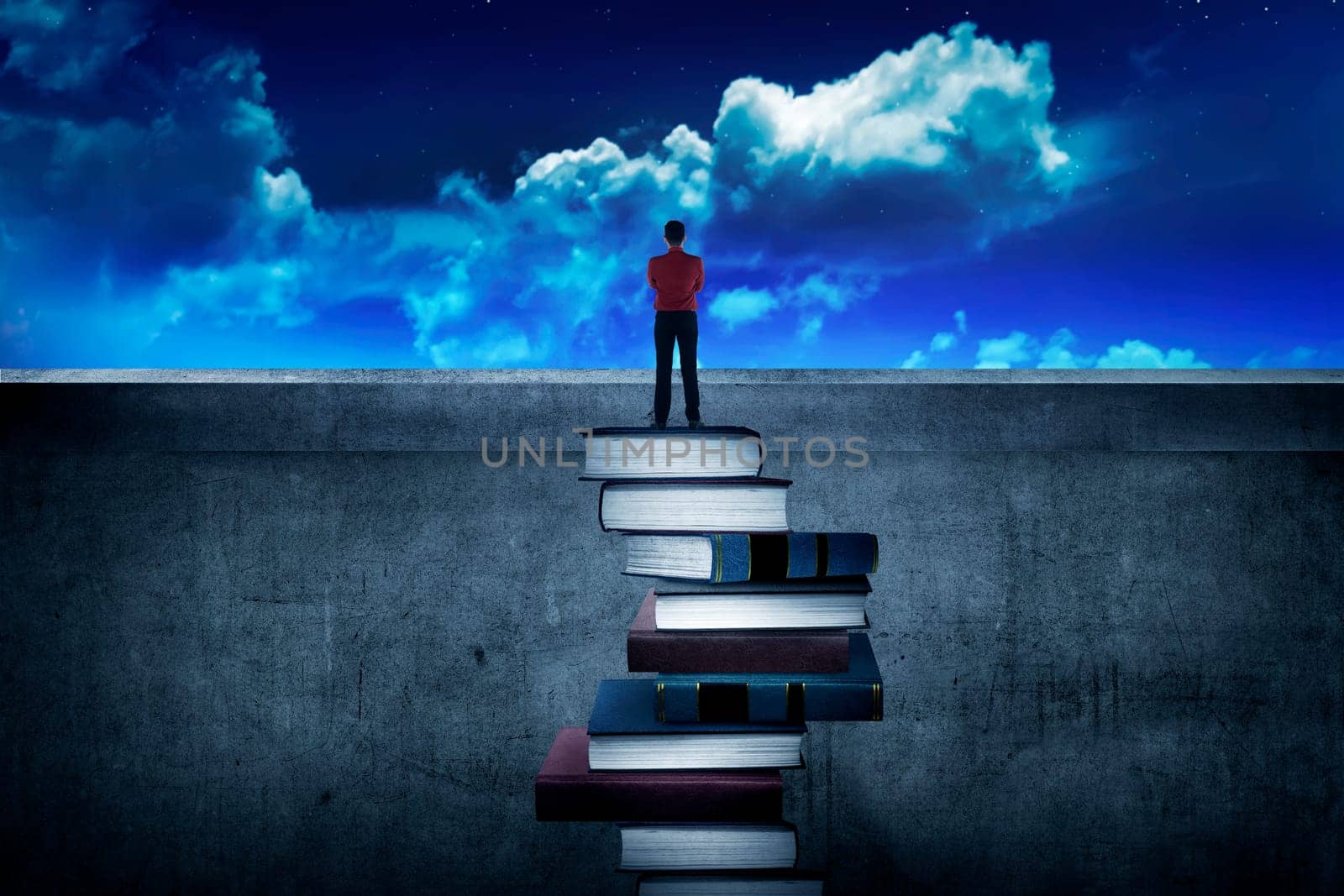 Back view business person looking the city, standing on the top of the book. Education for success concept