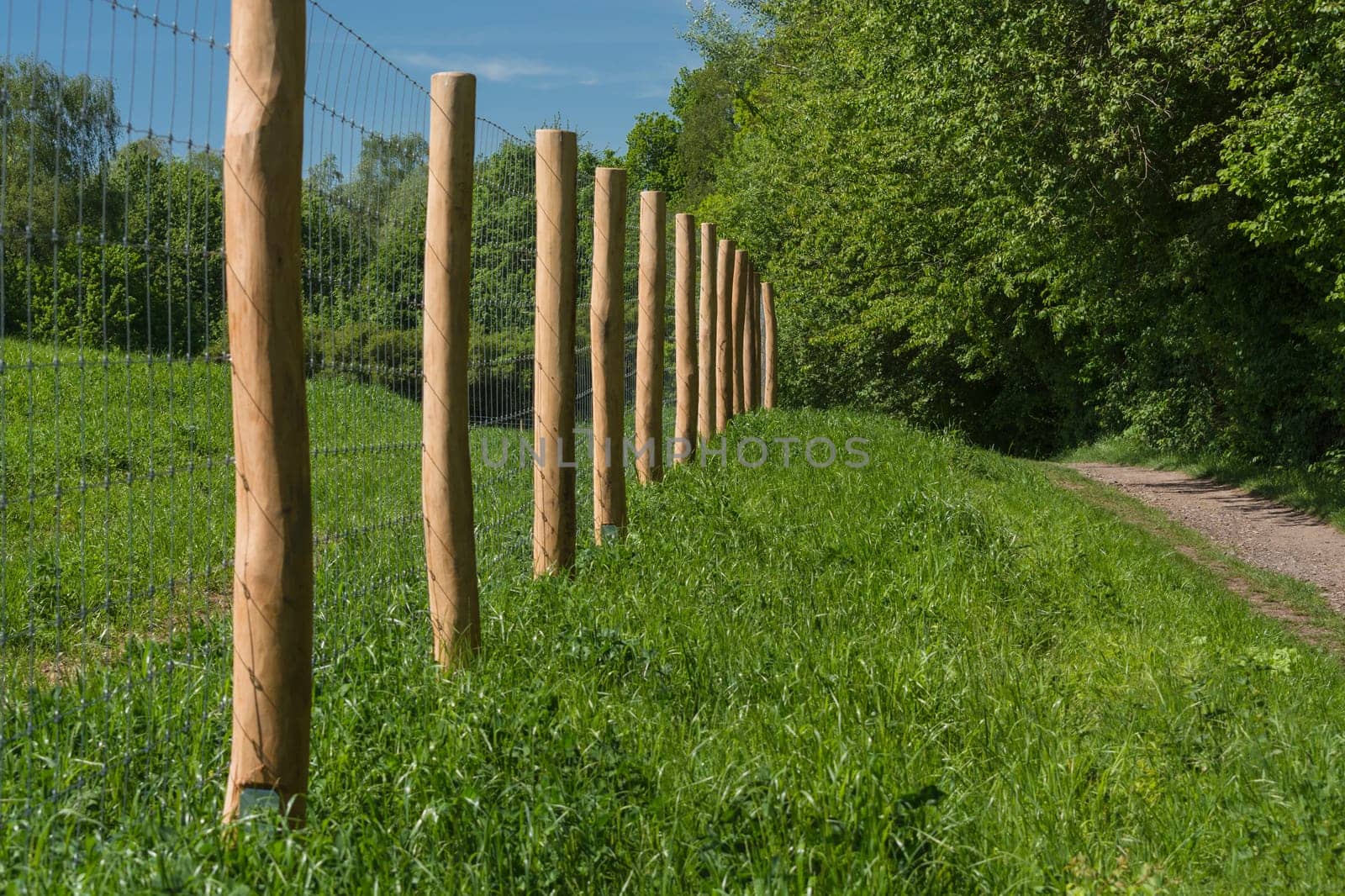 Fence from a pasture for horses or cows.