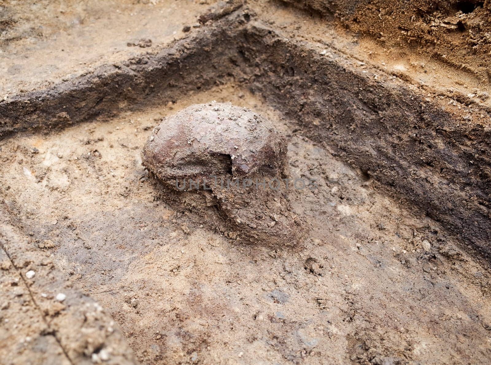 Archaeological excavation with skeletons and skulls still half buried in the ground