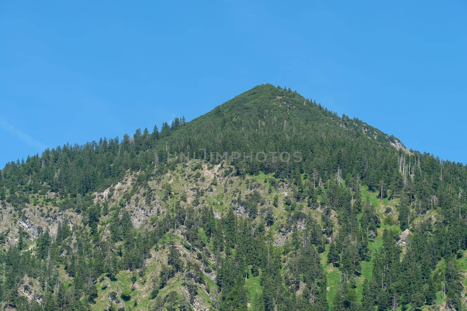 Schattenberg near Oberstdorf in the Allgäu in summer with blue skies