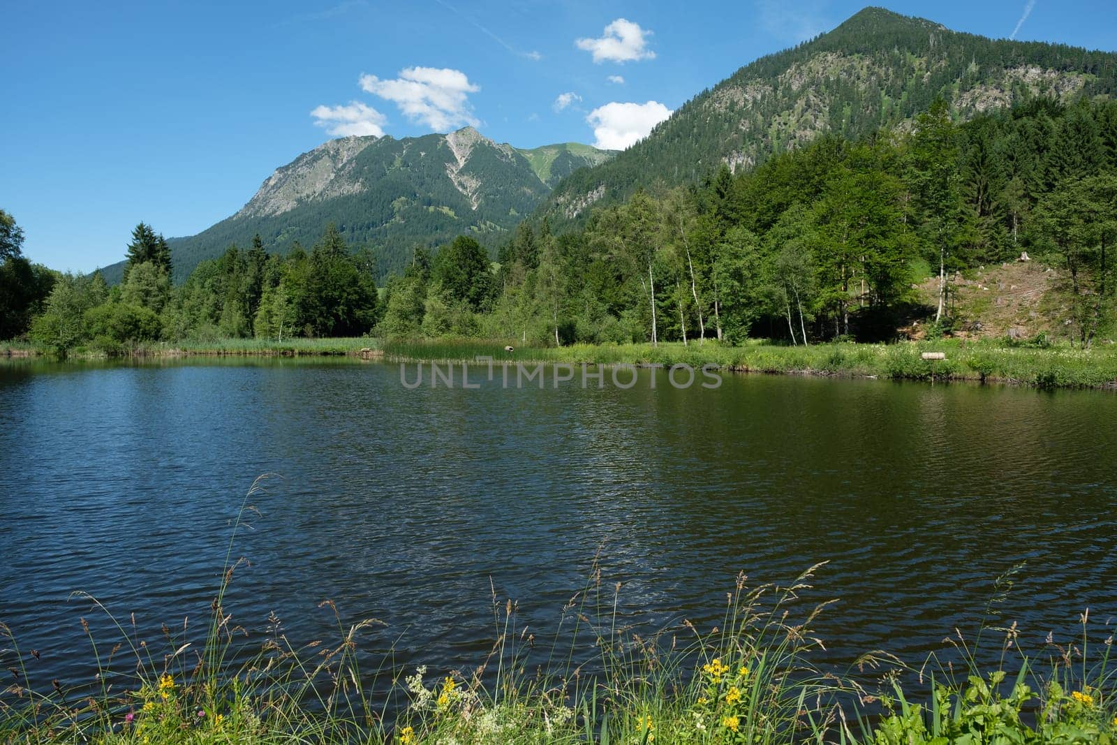 Moorweiher near Oberstdorf with Schattenberg and Gaisalphorn
