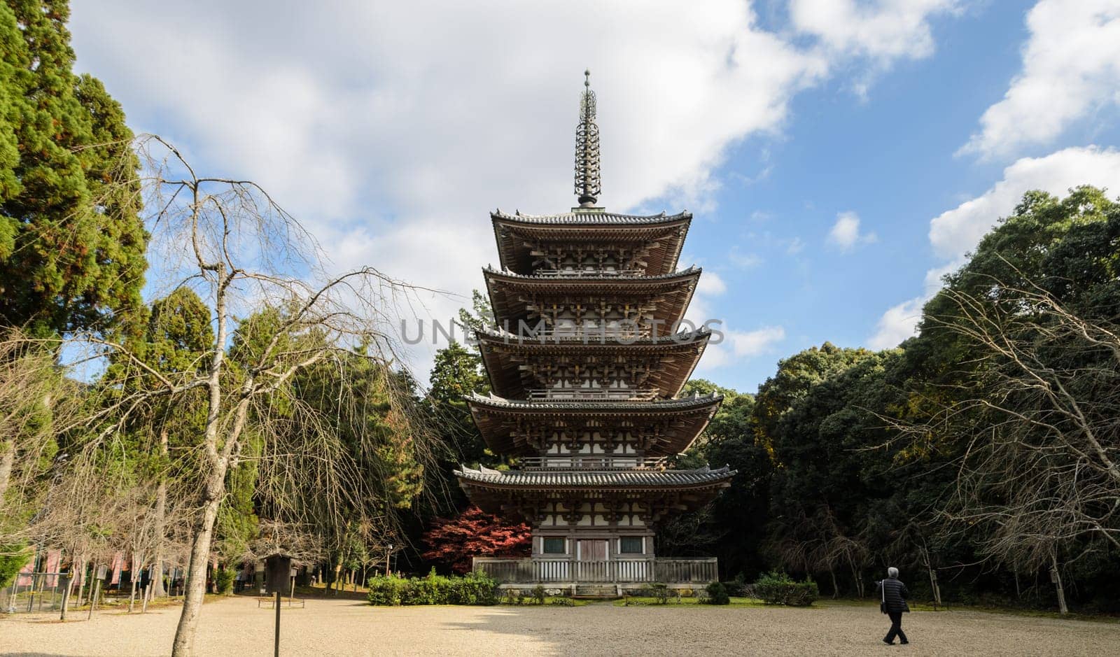 Five story wooden pagoda at Daigoji temple in Kyoto, Japan