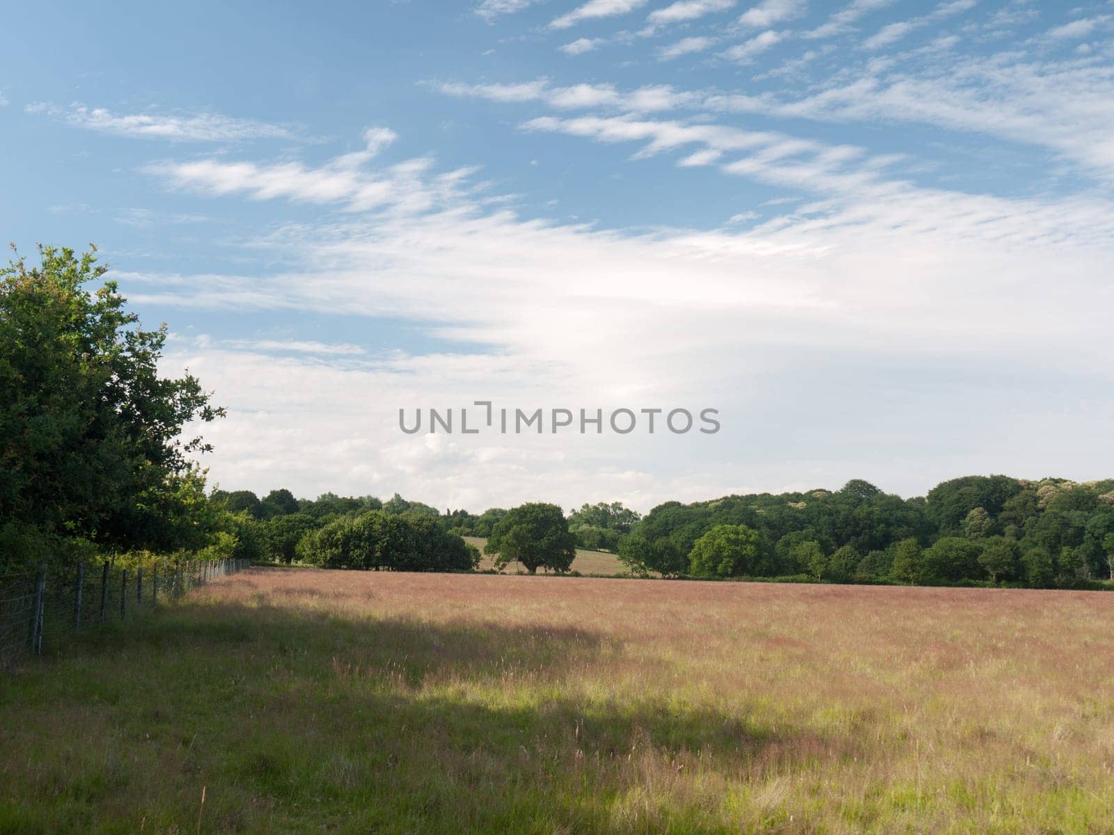 a farm field on a sunny day empty and peaceful  Suffolk  UK