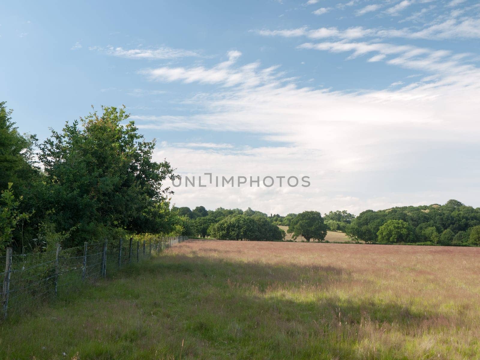 a farm field on a sunny day empty and peaceful  Suffolk  UK