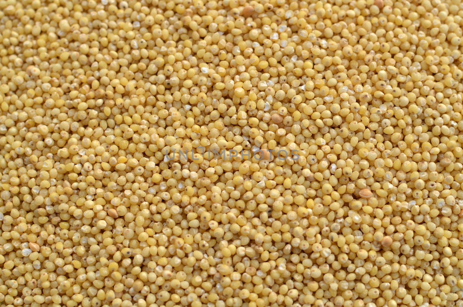 Millet