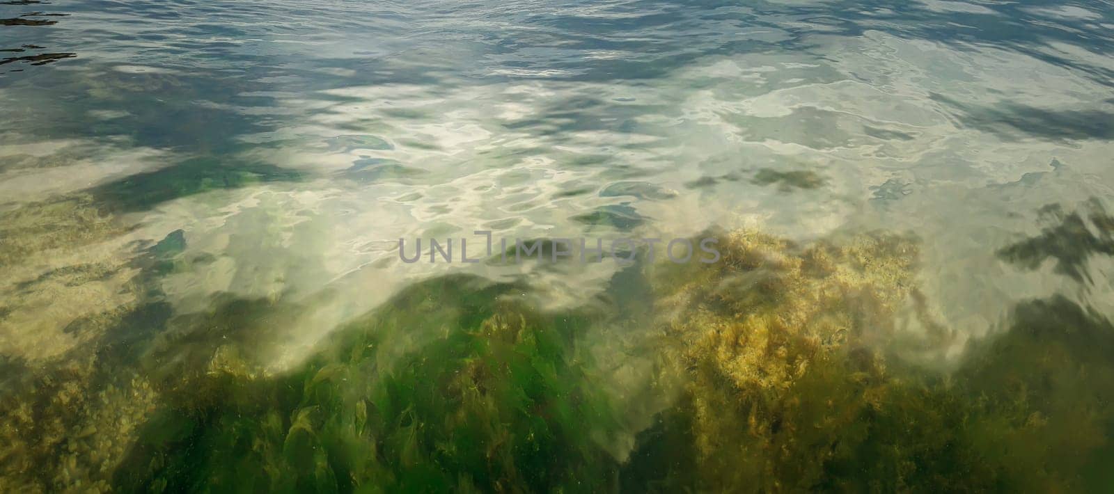 Underwater texture with the light on a rocky seafloor with stone pieces and moss