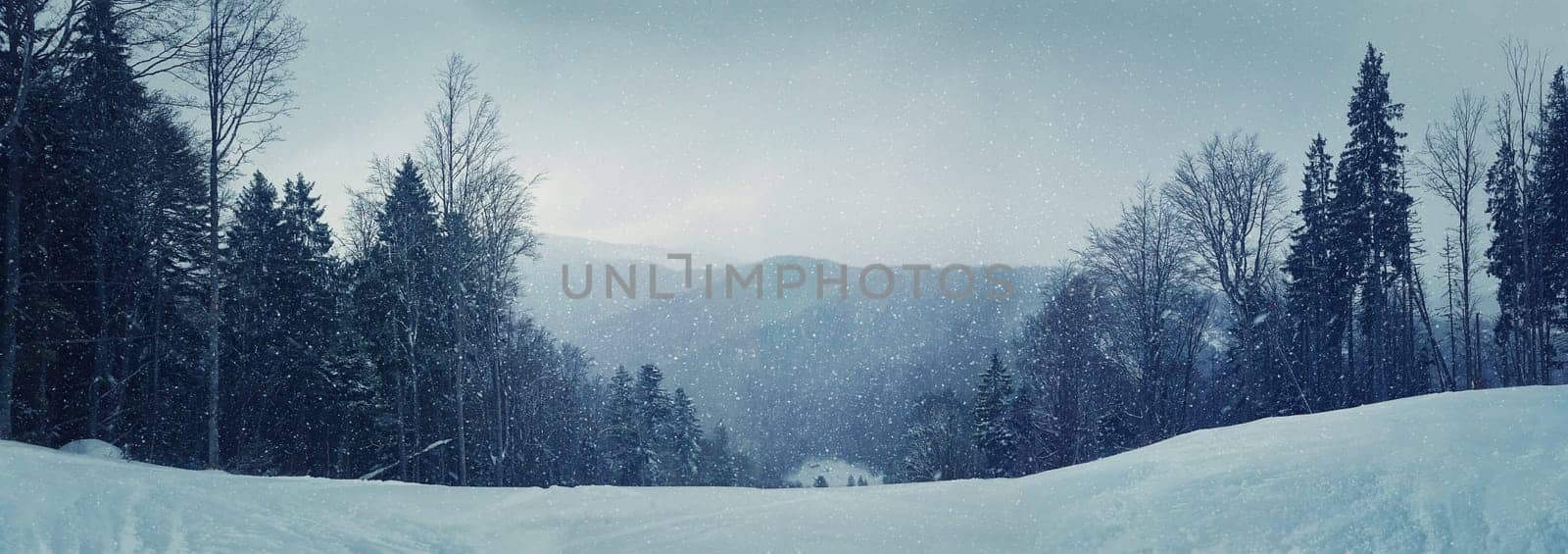 Winter panorama of the mountian forest with snowy fir tree on the foreground during winter snowfall in cold winter weather. Cold tones processing. Winter picturesque scene