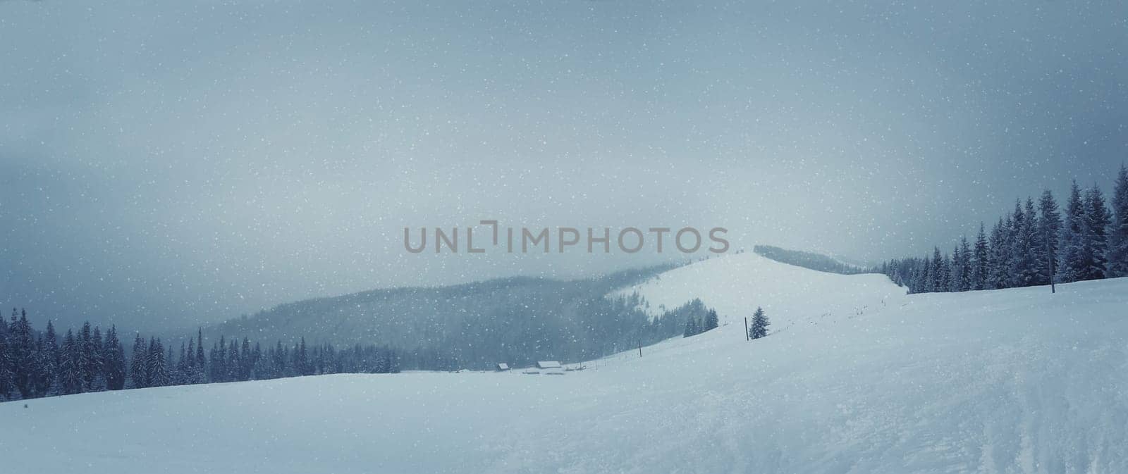 Fir trees under the snow panorama. Mountain forest in winter. Christmas landscape
