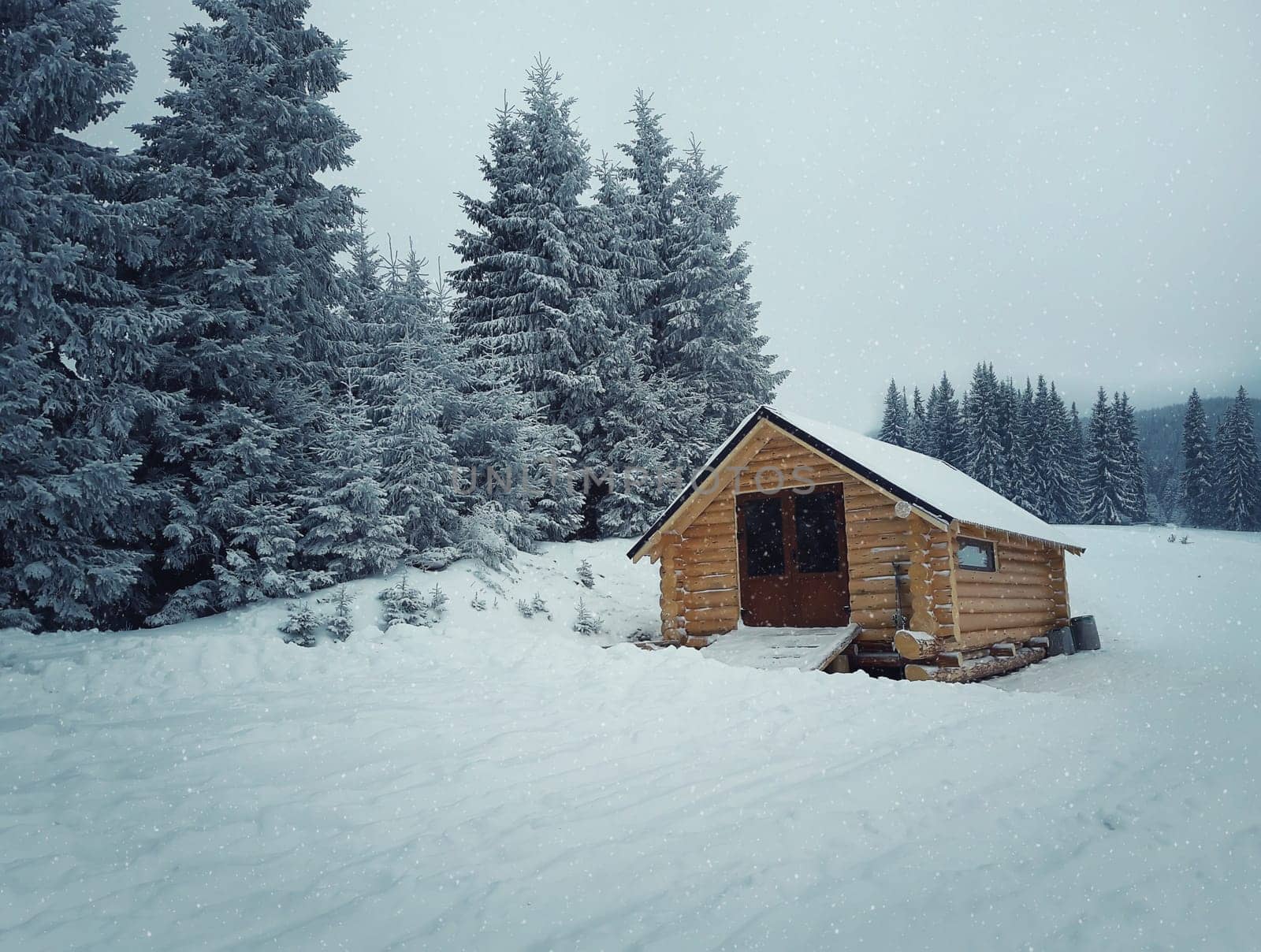 Rural wood house in the fir forest after snowfall. Traditional alpine cabin in the mountains.