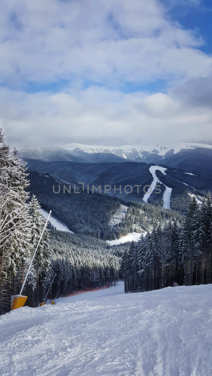 Beautiful view of Carpathians mountain range with the fir forest background in a cold and snowy winter day. Travel, tourism, hiking and trekking concept. Bukovel, Ukraine.