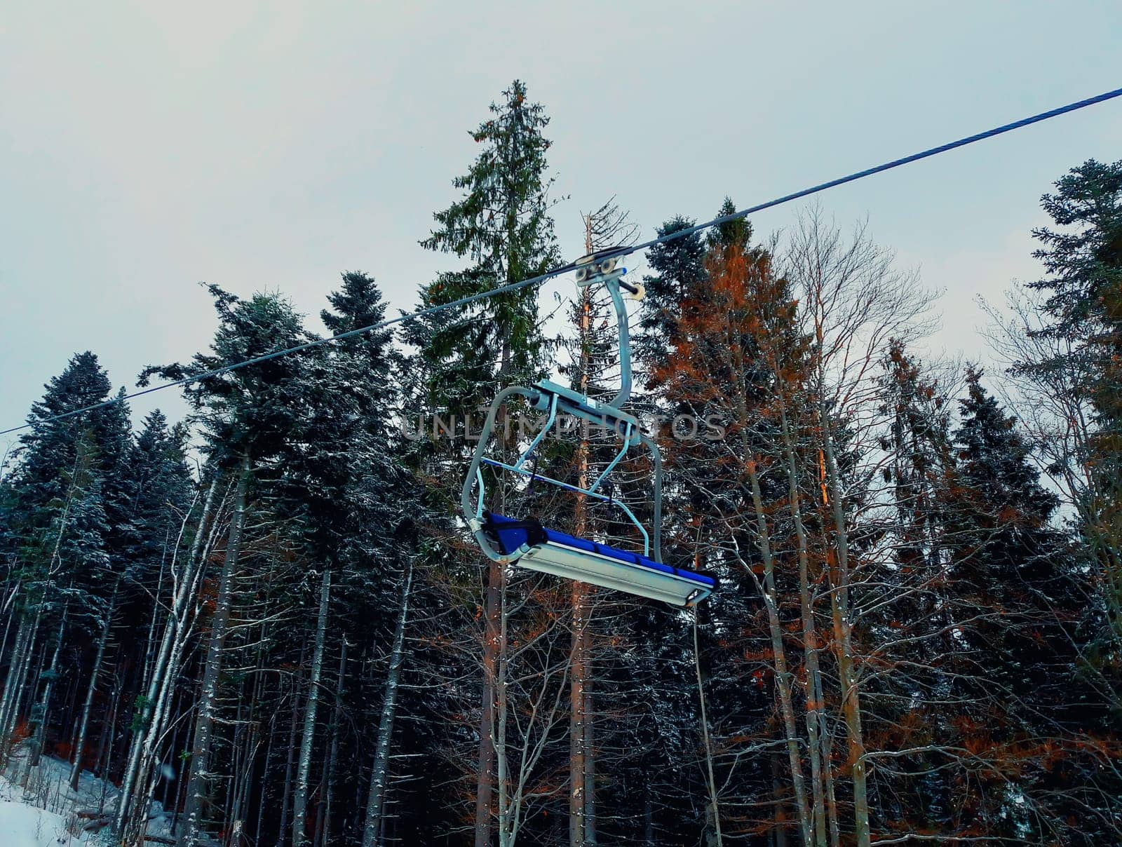 Cableway between the forest trees on a cold winter day at ski resort.