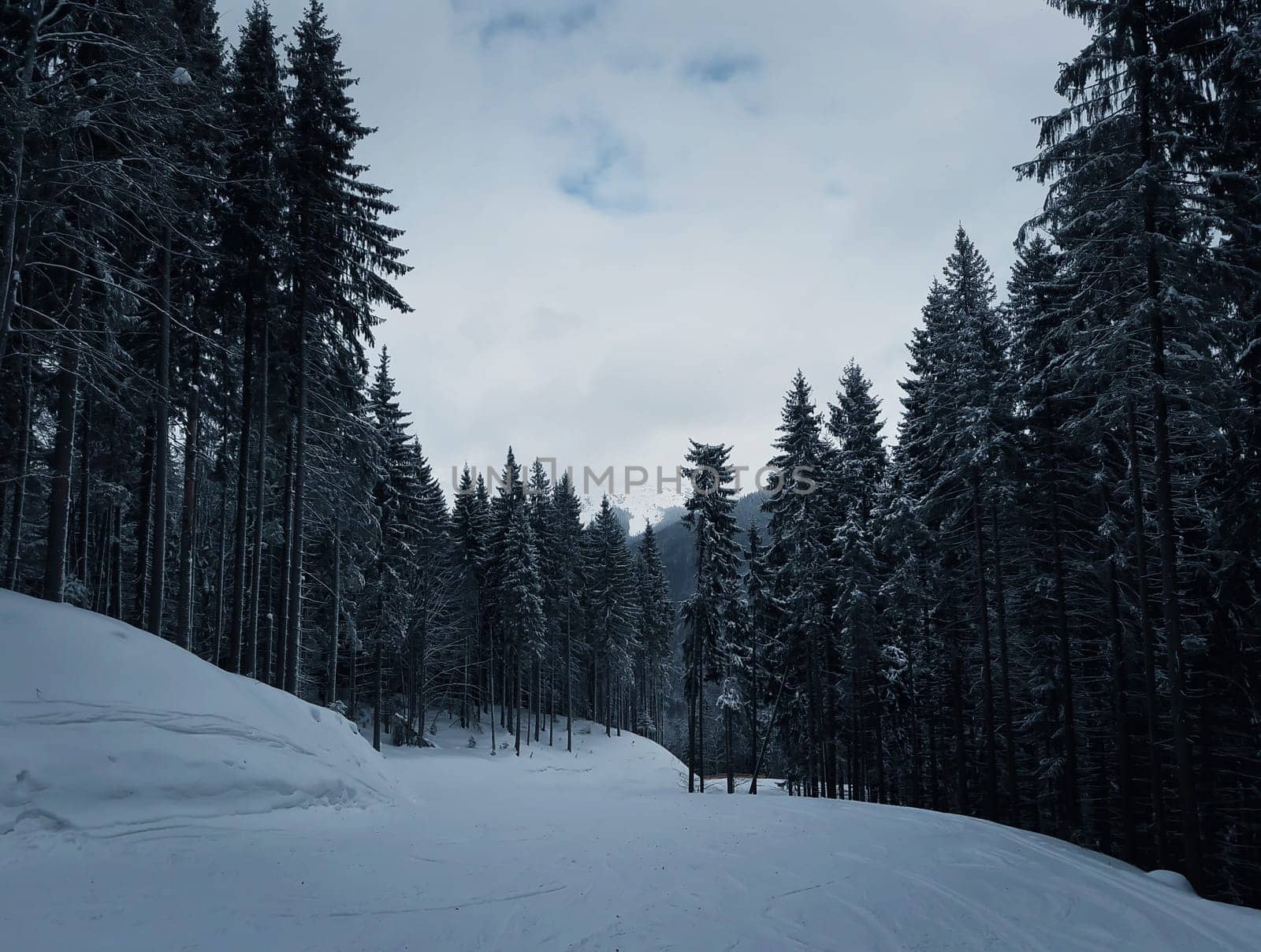Winter landscape with snow drifts and a a ski slope in a mountain forest. Bukovel, Carpathians, Ukraine.