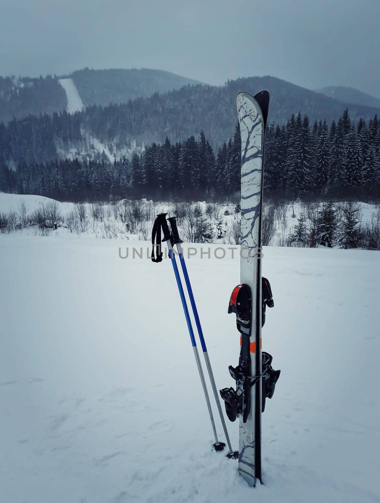 Ski winter season in the mountains, equipment for the ski run in the snow and the fir forest hill background.