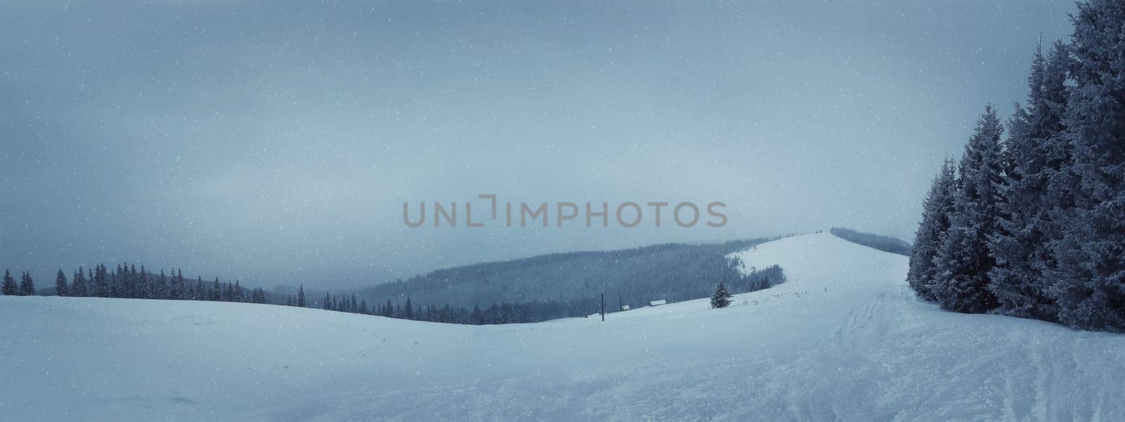 Snowy winter panorama with fir tree and mountain slope.