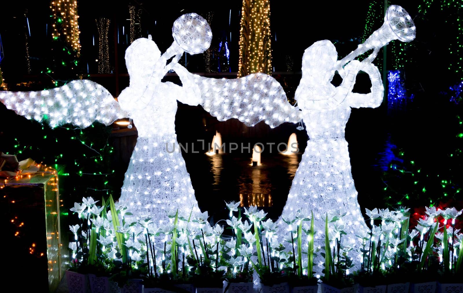 garden decorated and lighted for Christmas and for New Year Eve at Night.
