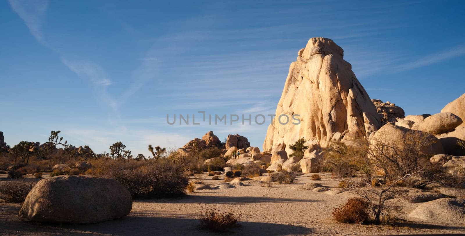 Blue skies and good weather in late November at Joshua Tree