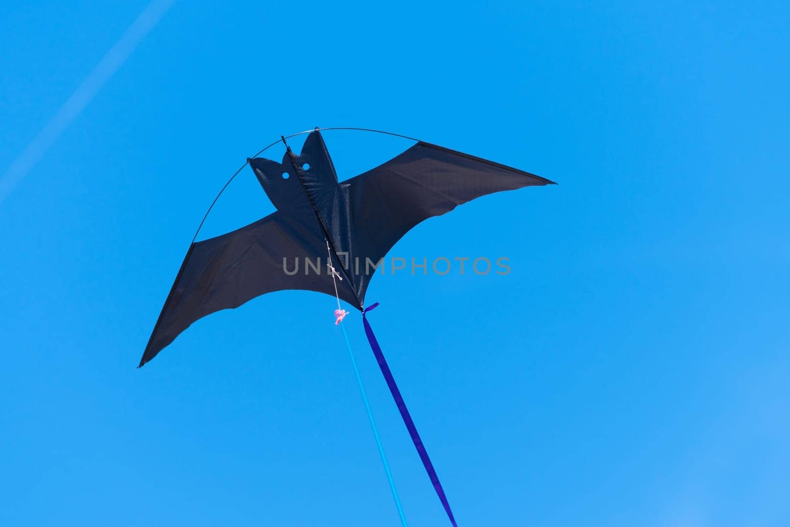 bat shaped kite against a blue sky