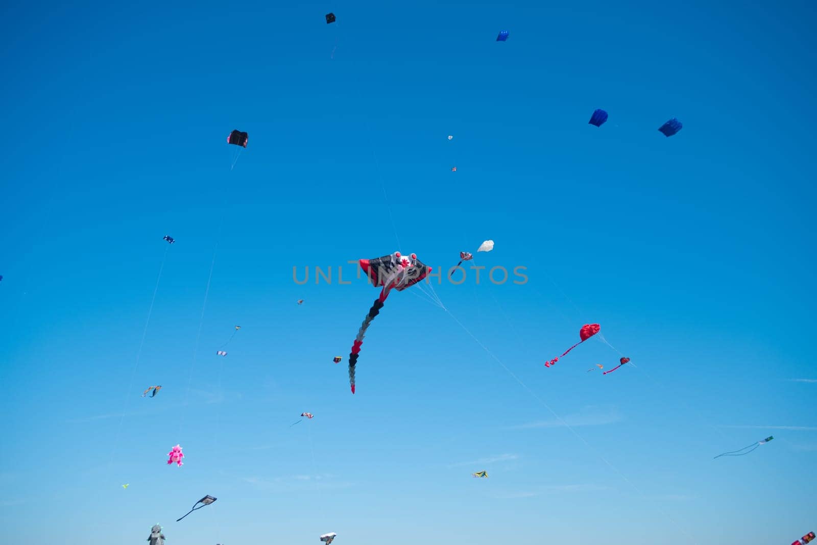 lots of colorful kites at a kite festival
