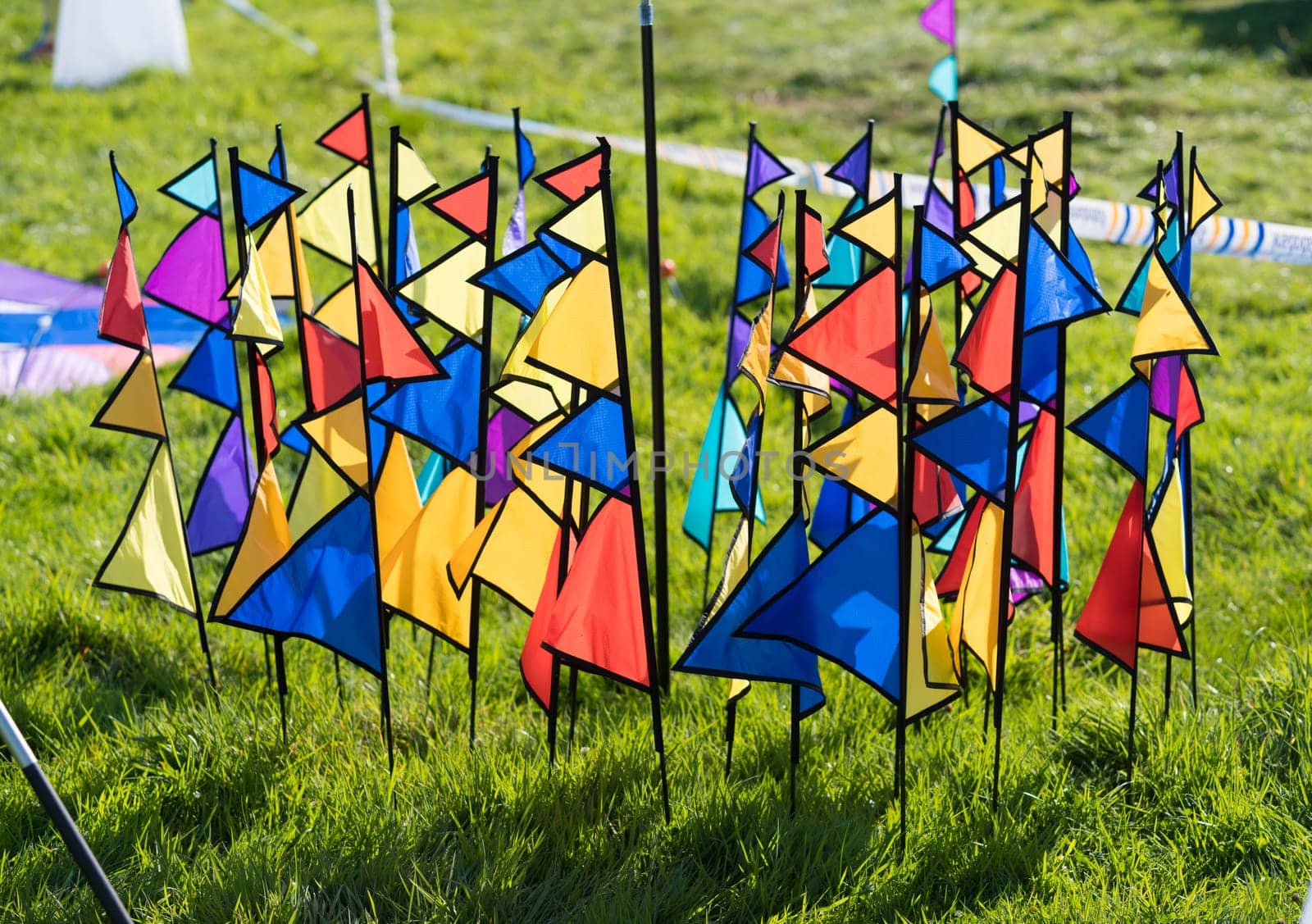 colorful bunting flags in the grass