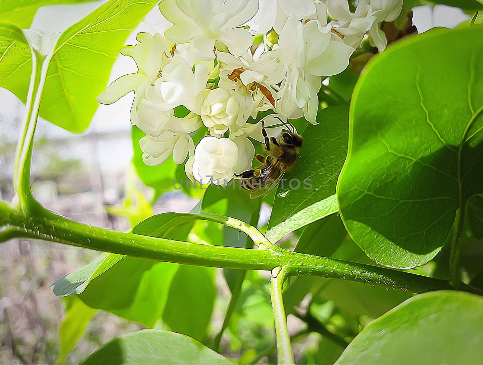Illustration of a bee collecting honey on white lilac flowers