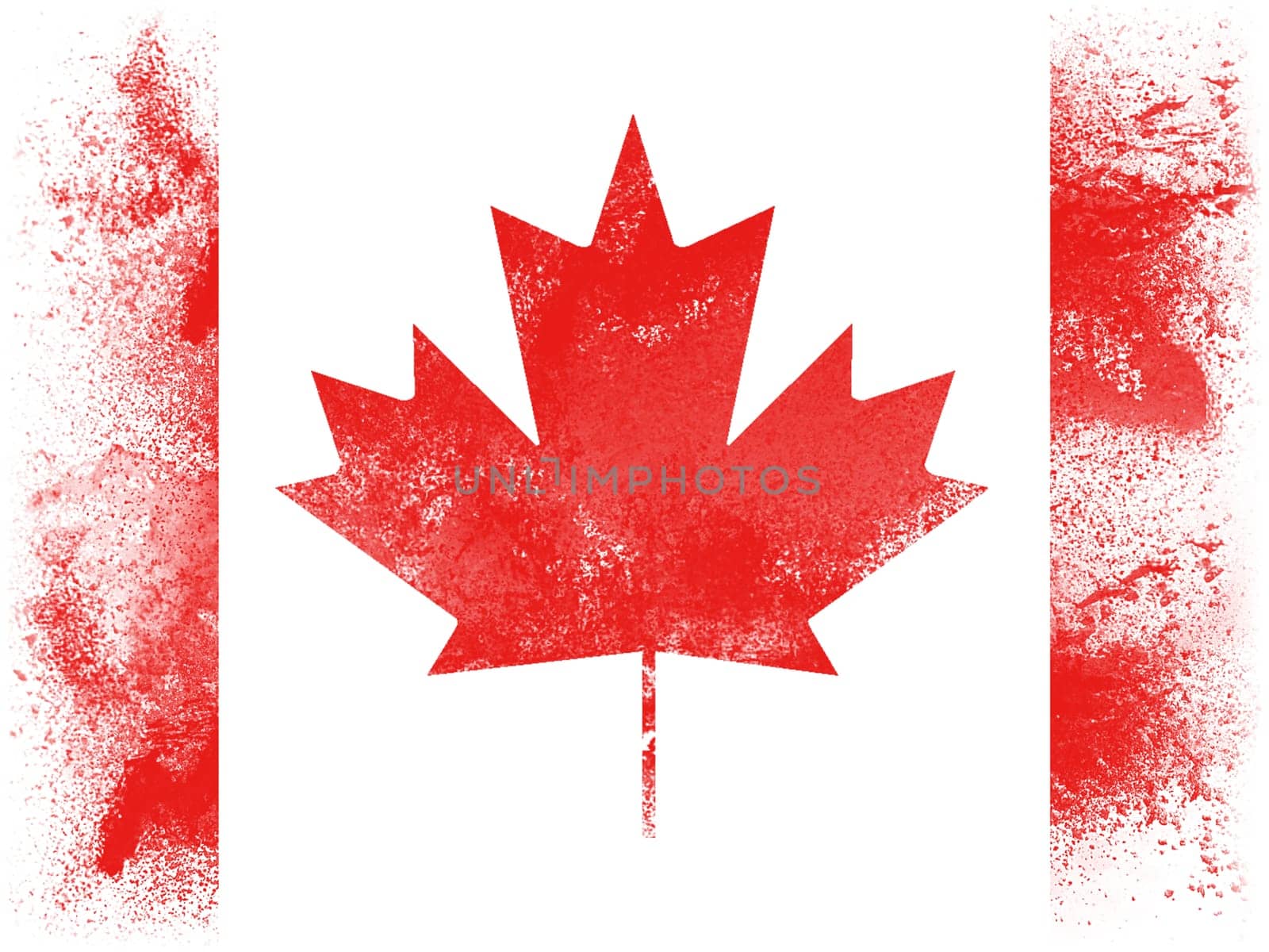 Powder paint exploding in colors of Canada flag isolated on white background. Abstract particles explosion of colorful dust.