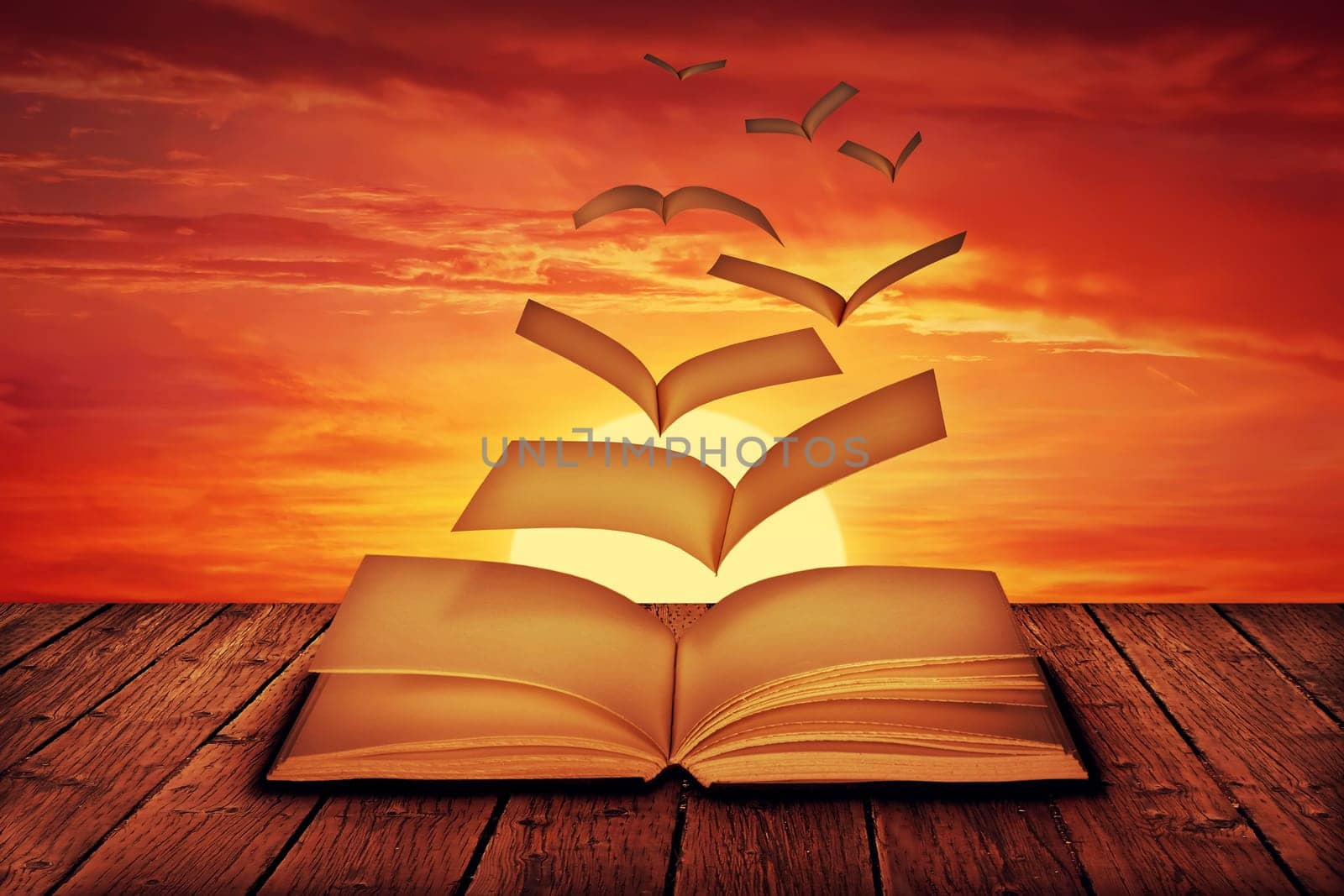 Unwritten white pages flying out of a book and transform into magic birds, escape on a sunset background.