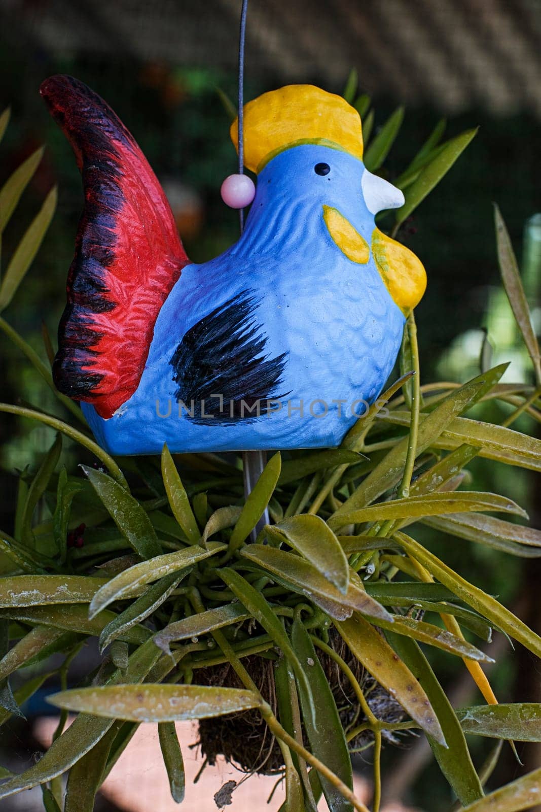 pottery chicken decoration plant