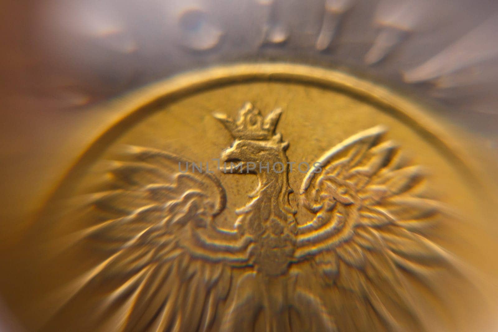 Euro money in reception