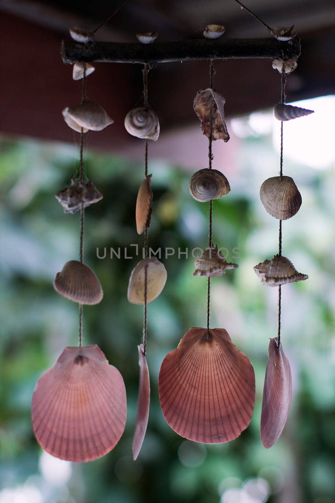 sea shell ornament hanging pink