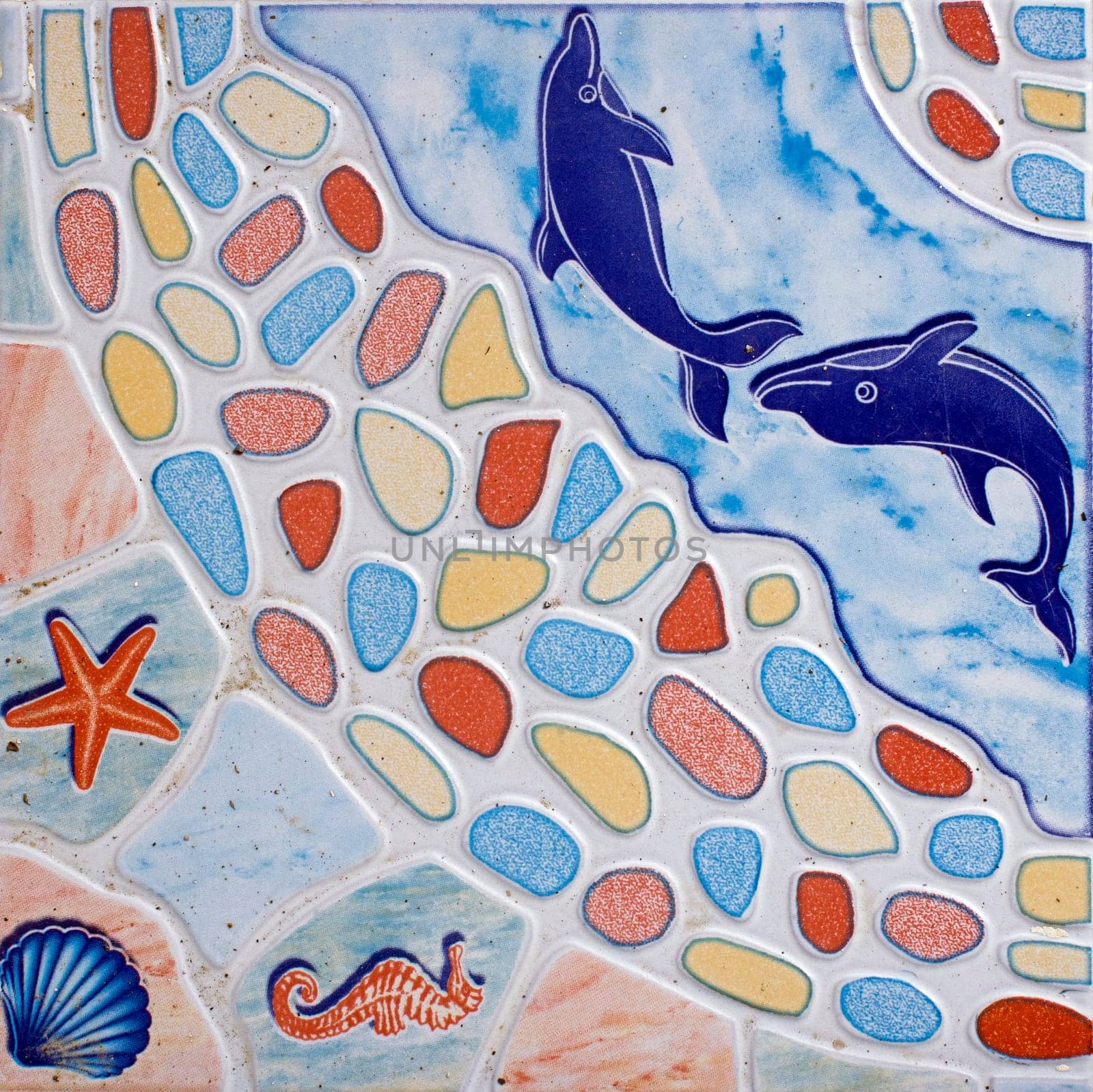 tile dolphin starfish seashell seahorse decoration cartoon