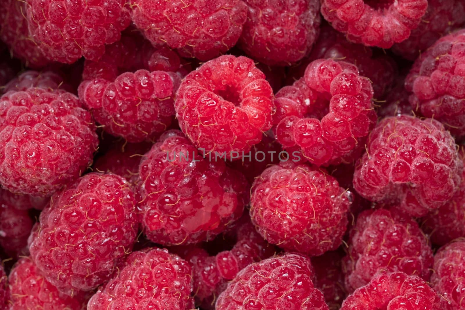 Red raw raspberries with water drops