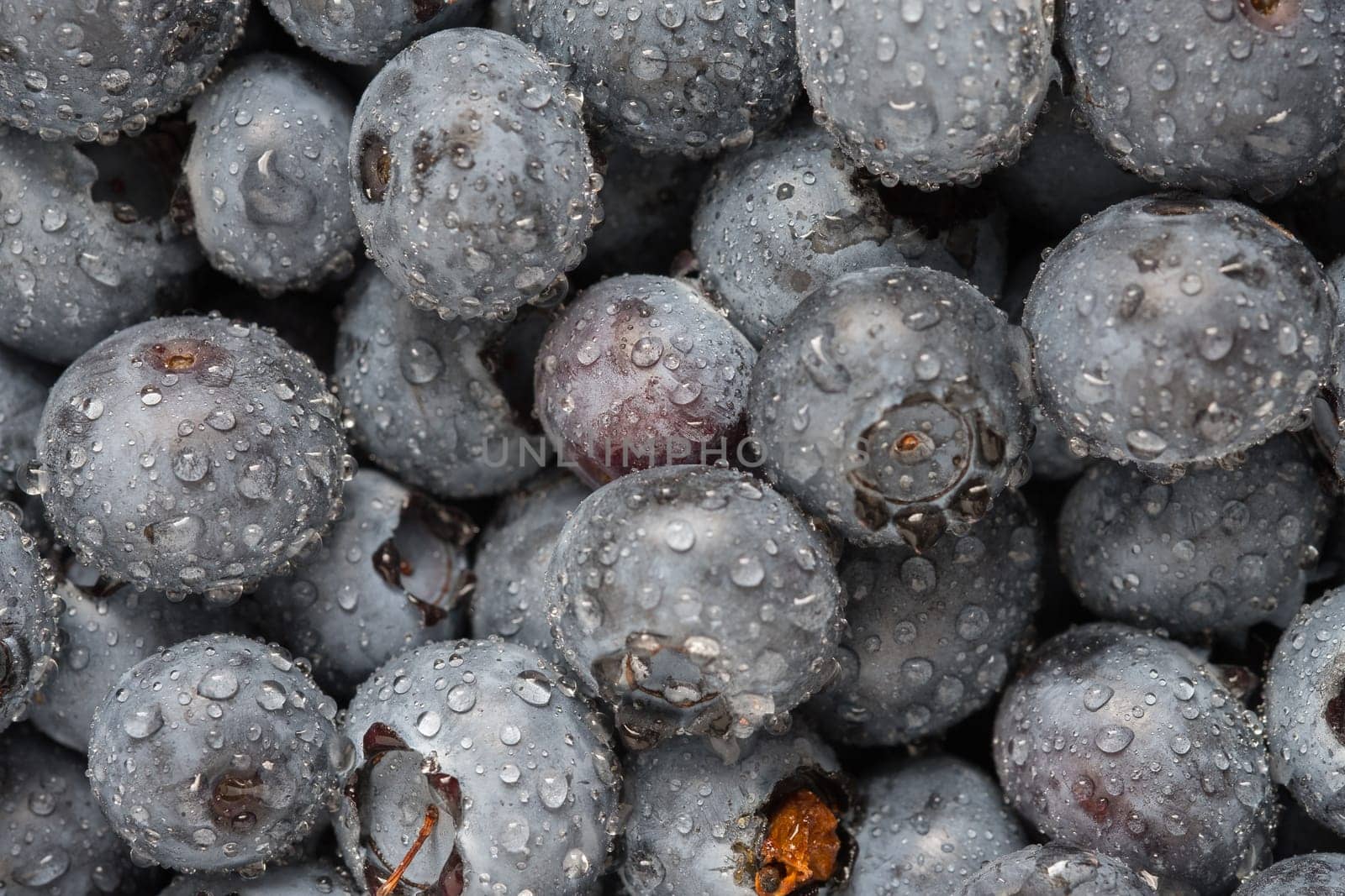 Close-up fresh blueberries with water