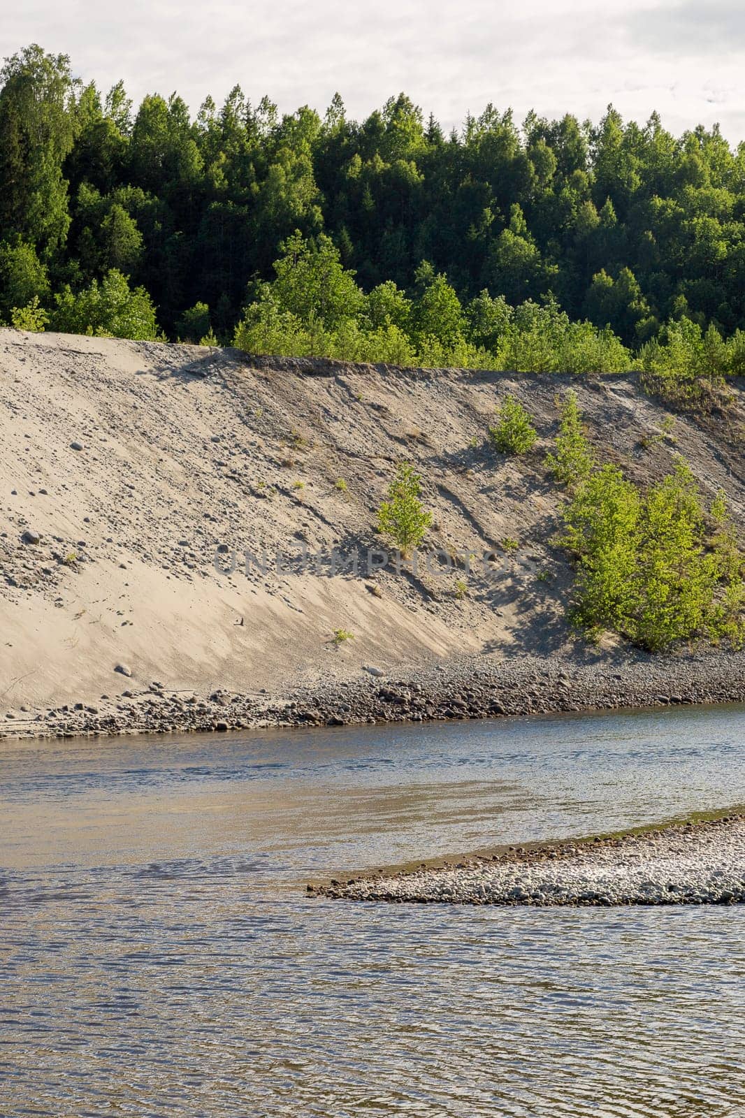 Sandy Shore by Stream with forest.