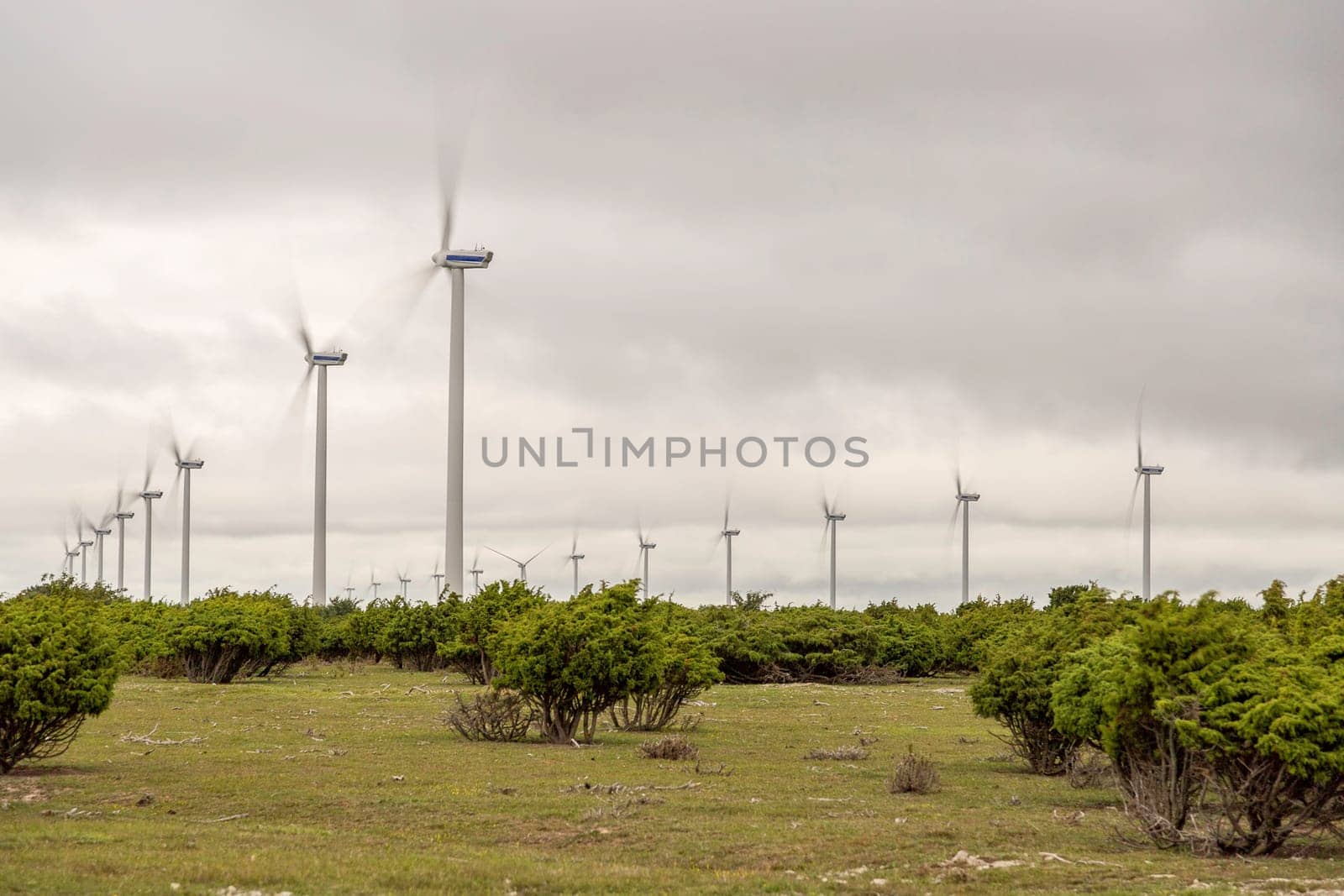Wind Power Stations Spinning in Green Field.