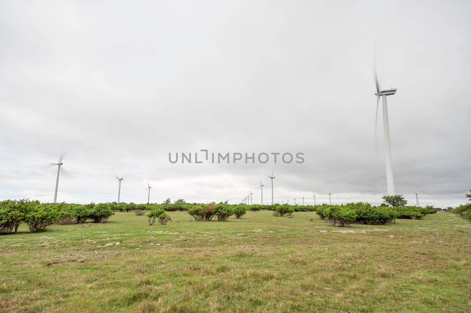 Wind Power Stations Spinning in Green Field.