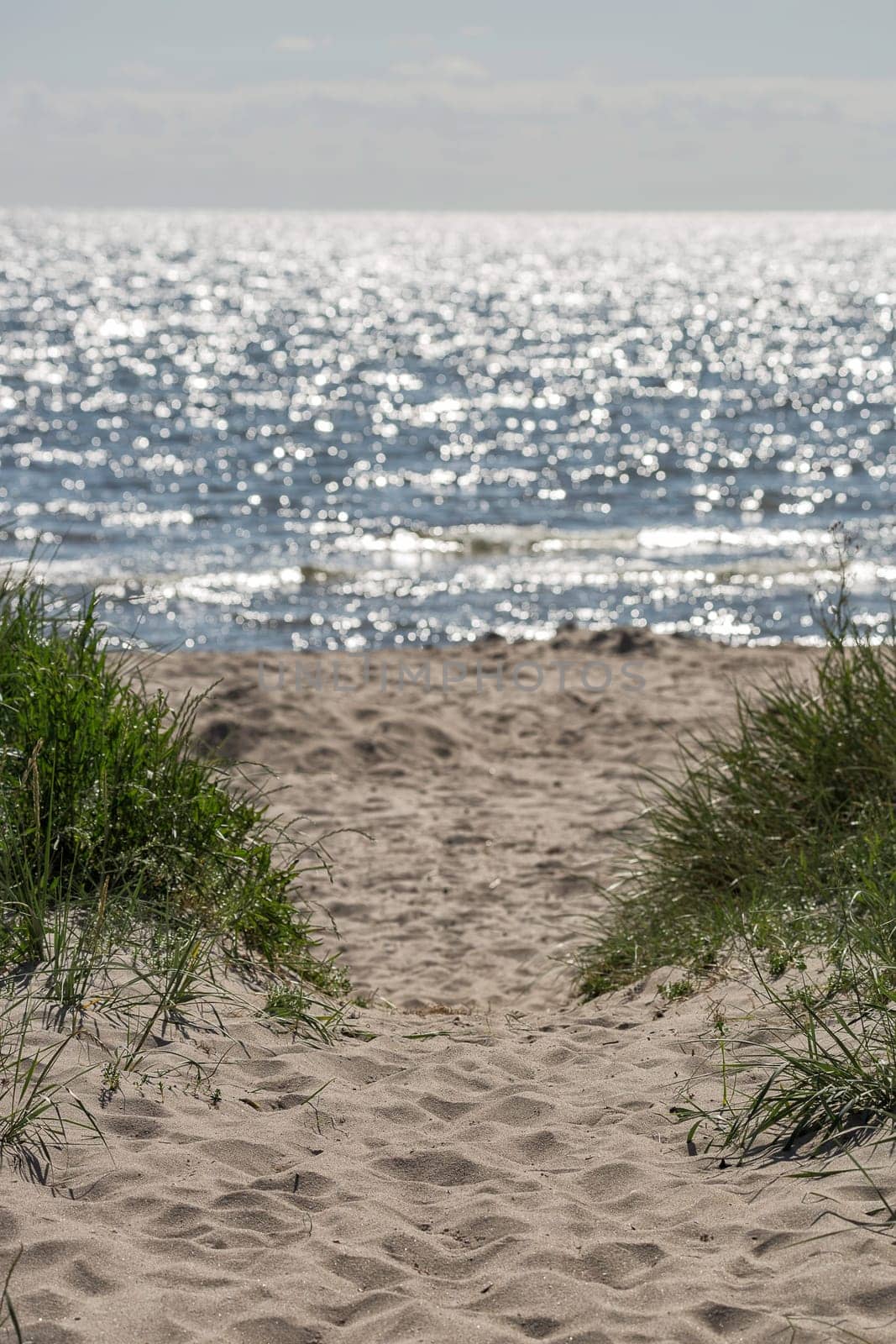 Sandy Beach with Grass and Ocean.