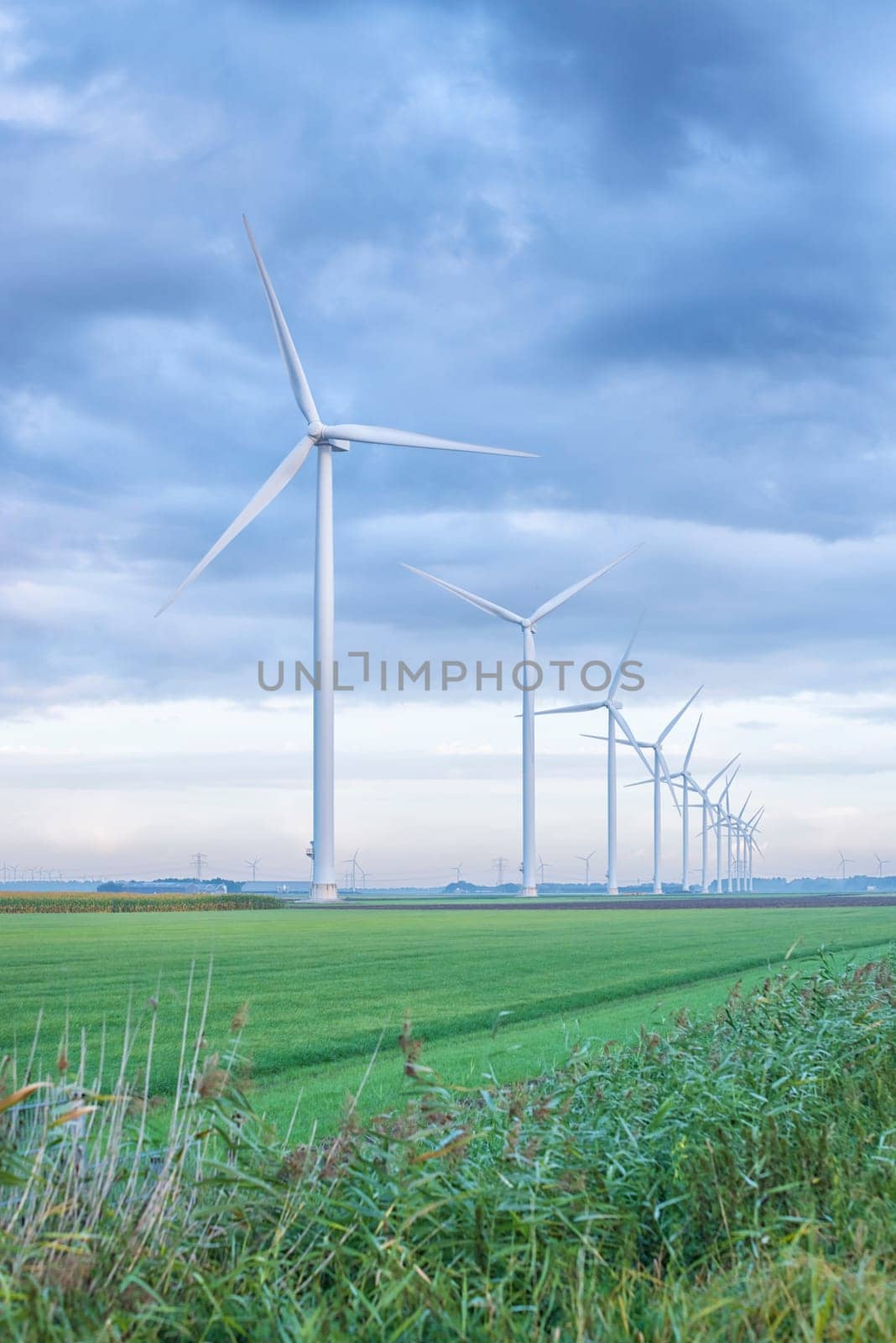 row of wind turbines in early morning in a flat dutch landscape